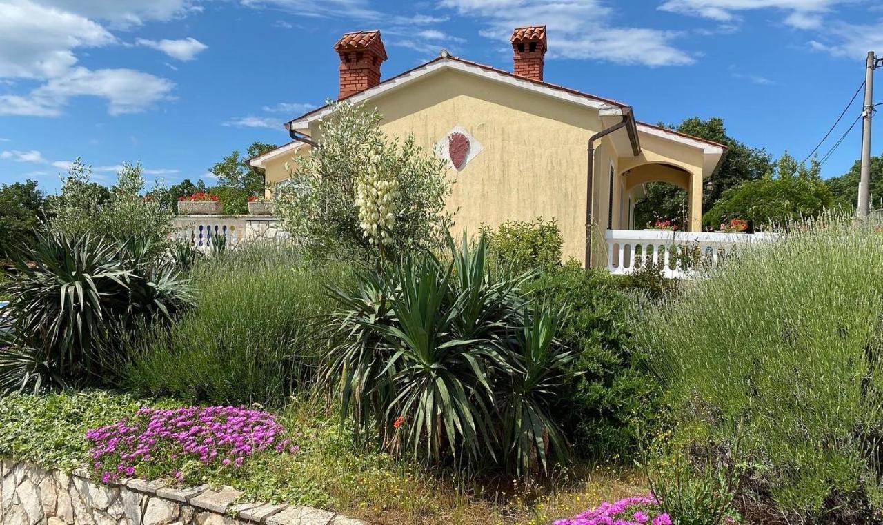 Villa Yucca Istra Labin  Eksteriør bilde